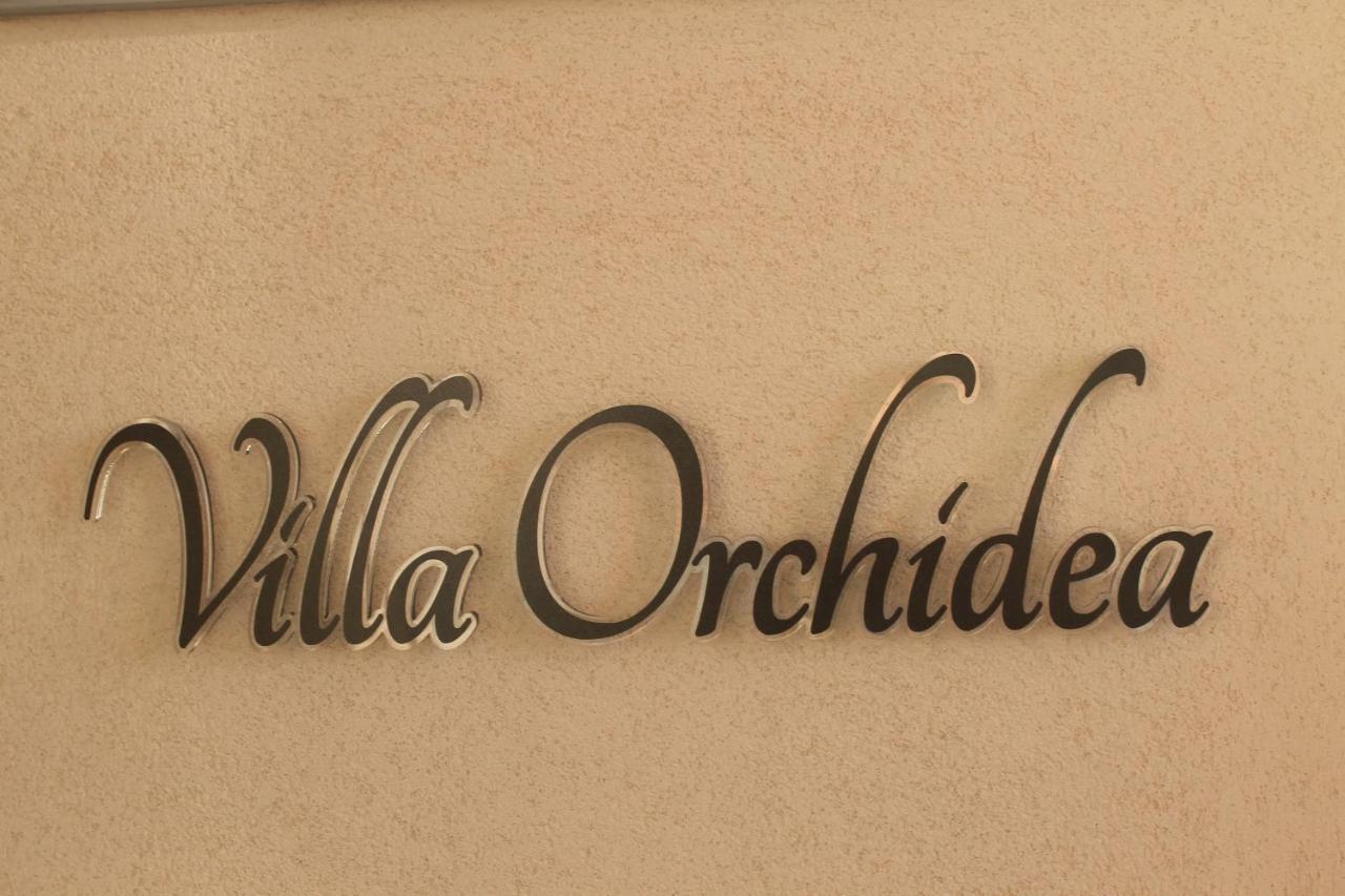 B&B Villa Orchidea Ricadi Exteriér fotografie